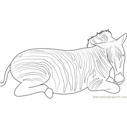 Sleepy Zebra Free Coloring Page for Kids