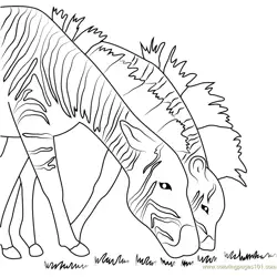 Two Zebras Free Coloring Page for Kids