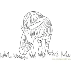 Zebra Grazing Free Coloring Page for Kids