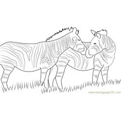 Zebra Looking Back Free Coloring Page for Kids