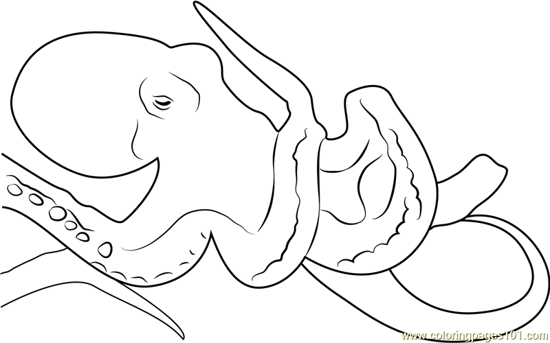 Sad Octopus Coloring Page for Kids - Free Octopuses Printable Coloring