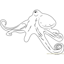 Biz Octopus Free Coloring Page for Kids