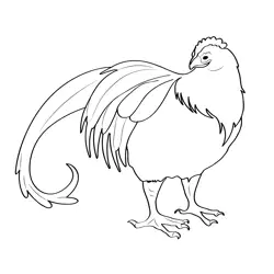 Cockatrice 8 Free Coloring Page for Kids