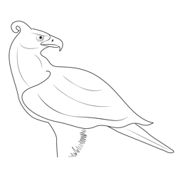 Thunderbird 5 Free Coloring Page for Kids