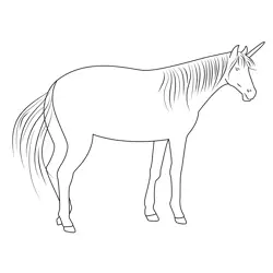 The Unicorn Free Coloring Page for Kids