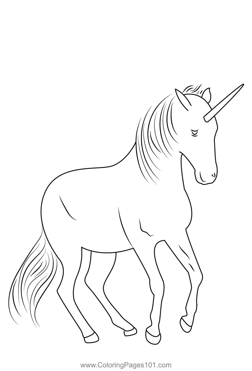 Unicorn 13