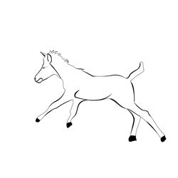Unicorn 5 Free Coloring Page for Kids