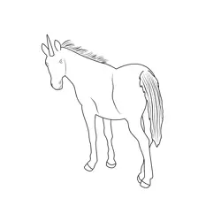 Unicorn 7 Free Coloring Page for Kids