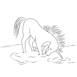 Unicorn Drinking Water