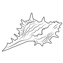 Sea Shell Free Coloring Page for Kids