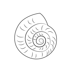 Snail Shell Free Coloring Page for Kids