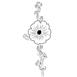 Summer Flower Free Coloring Page for Kids