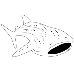 Requin Baleine Fishing Free Coloring Page for Kids