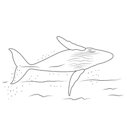 Whale Free Coloring Page for Kids