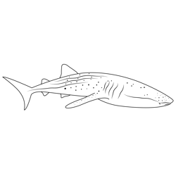 Whale Shark Diver Free Coloring Page for Kids
