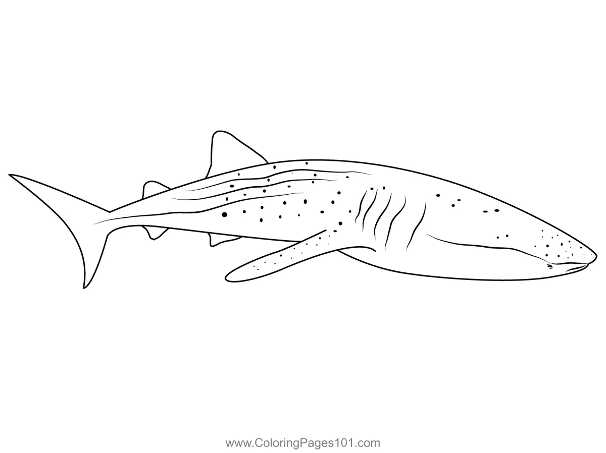 Whale Shark Diver Coloring Page for Kids - Free Whales Printable ...