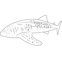 Whale Shark Free Coloring Page for Kids