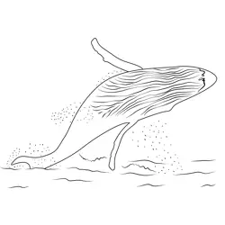 Whale Watch Free Coloring Page for Kids