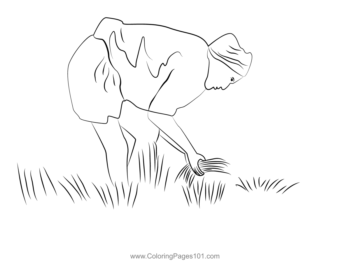 Paddy Field Coloring Page Line Drawing Cartoon Clipart Image Outline