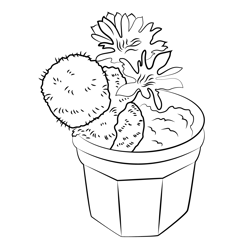 Cactus Plant Free Coloring Page for Kids
