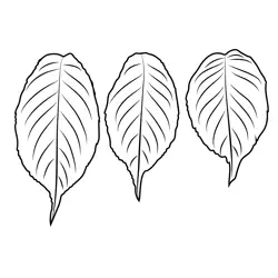 Autumn Leaves 3 Free Coloring Page for Kids