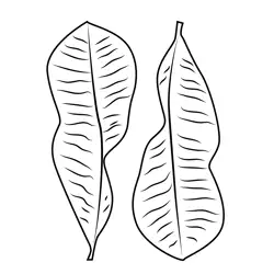 Dry Leaves Free Coloring Page for Kids