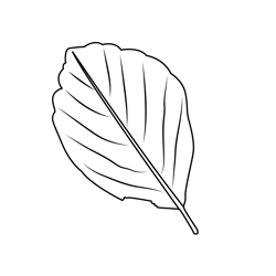 Fallen Leaf Free Coloring Page for Kids