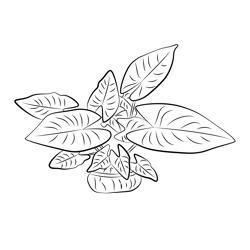 Fresh Leaves Free Coloring Page for Kids