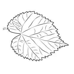 Heartshape Leaf Free Coloring Page for Kids