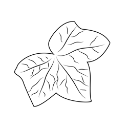 Ivy Leaf Free Coloring Page for Kids