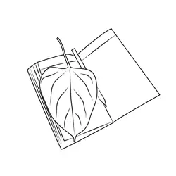 Leaf On Book Free Coloring Page for Kids