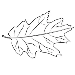 Leaf On The Ground Free Coloring Page for Kids