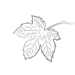 Leaf Free Coloring Page for Kids