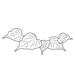 Leaves Free Coloring Page for Kids