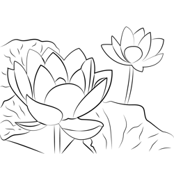 Lotus Leaf Free Coloring Page for Kids