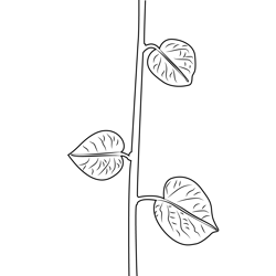 New Leaves Free Coloring Page for Kids