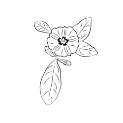 Single Lilac Flower With Leaf Free Coloring Page for Kids