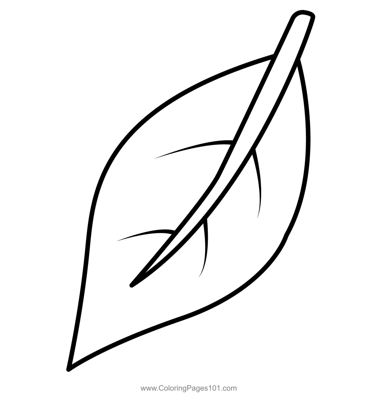 Single Neem Leaf Drawing For Kids