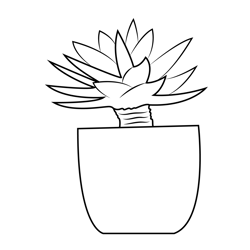 Aloe Vera Plant Free Coloring Page for Kids