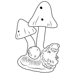 Fly Agaric Plant Free Coloring Page for Kids