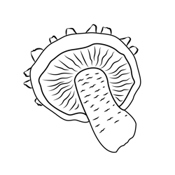 Fresh Sponge Free Coloring Page for Kids