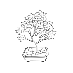 Bonsai Tree Free Coloring Page for Kids