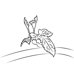 Small New Leaf On Tree Free Coloring Page for Kids