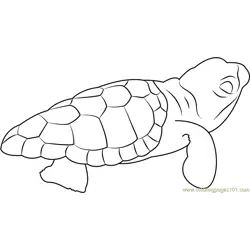 Baby Turtle Free Coloring Page for Kids