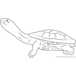 Eastern Long Neck Turtle Free Coloring Page for Kids