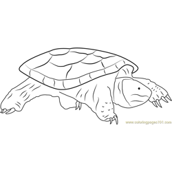 Go Slowly Free Coloring Page for Kids