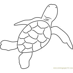 Green Turtle Hatchling Free Coloring Page for Kids