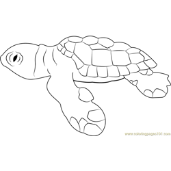 Grey Baby Turtle Free Coloring Page for Kids