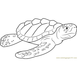 Logger Head Sea Turtle Free Coloring Page for Kids
