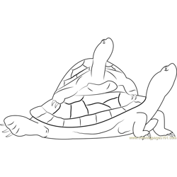 Red Eared Sliders Turtle Free Coloring Page for Kids